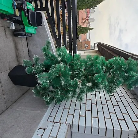 Charming 2 Bedroom In Heart Of * Skopje